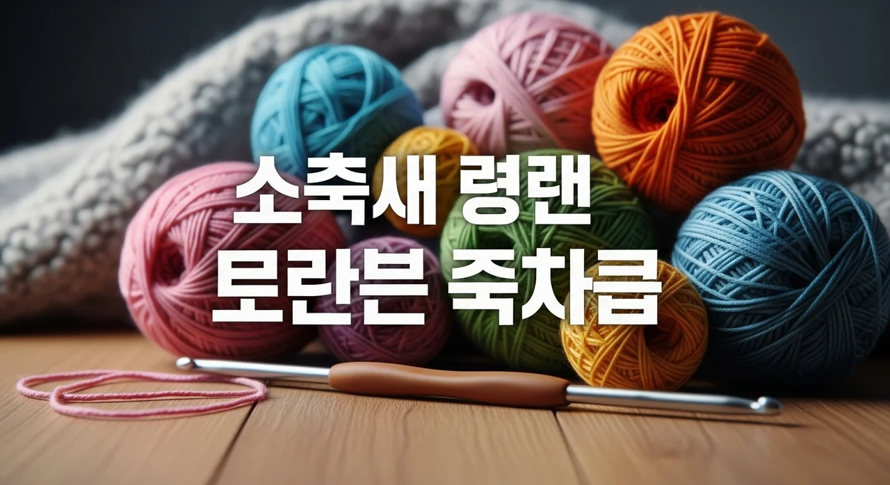 왕초보 뜨개질 입문! 첫 작품으로 추천하는 실패 없는 아이템 5가지