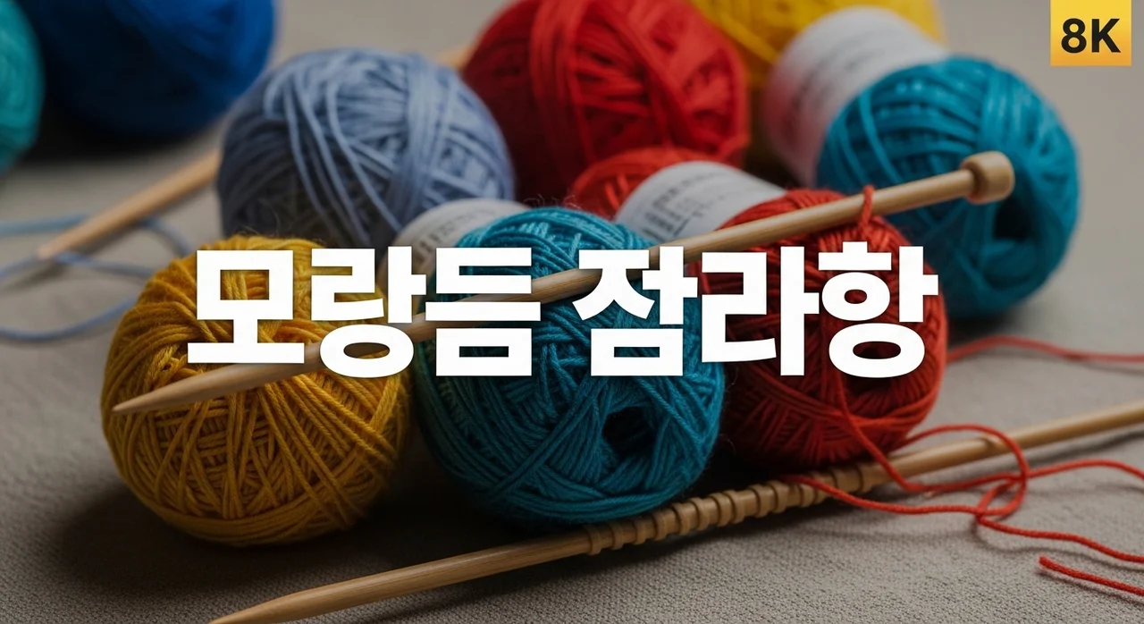 뜨개질 용어 완벽 정리: 대바늘 코바늘 영문 도안 해석 가이드